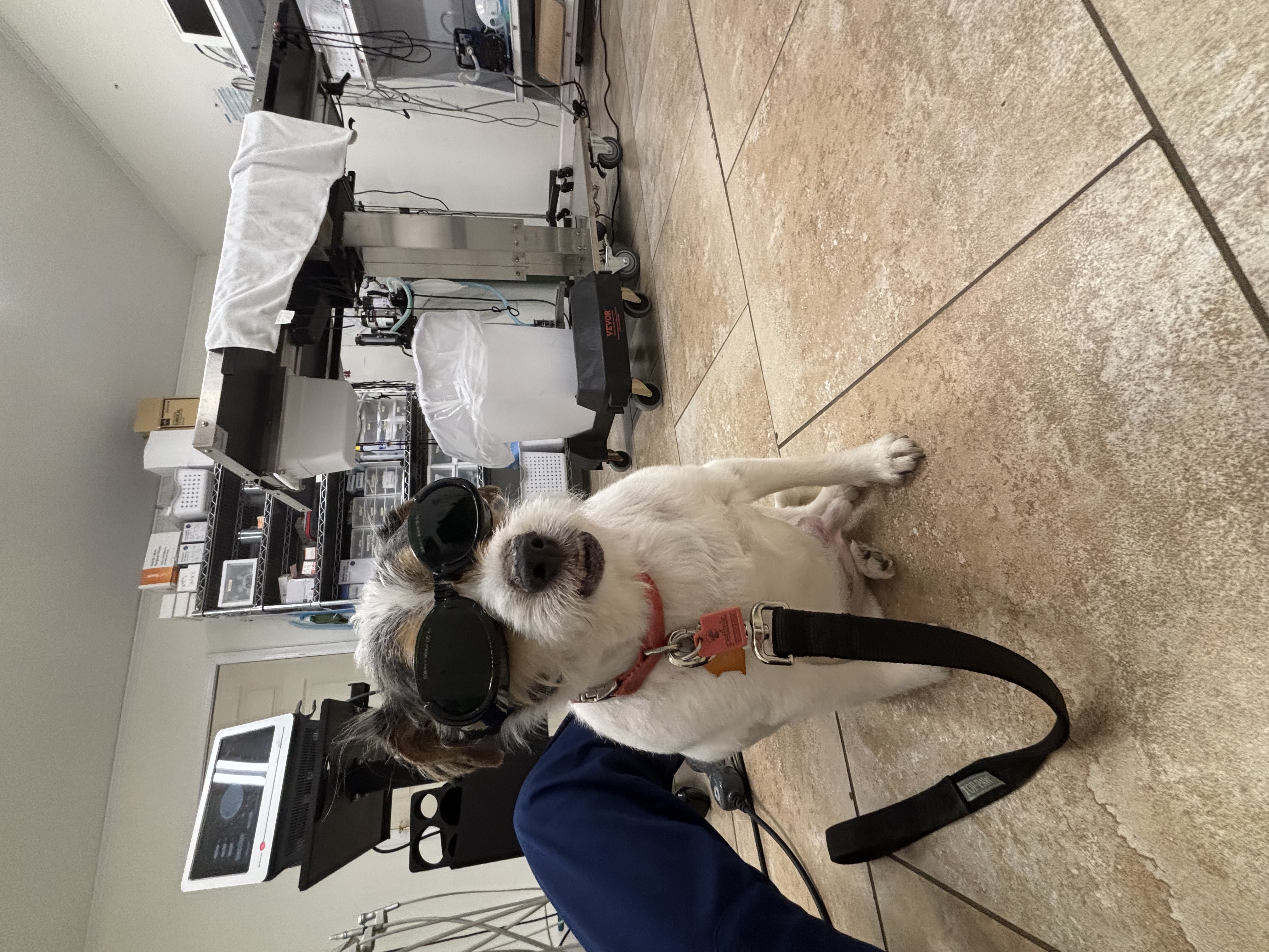 Laser Therapy